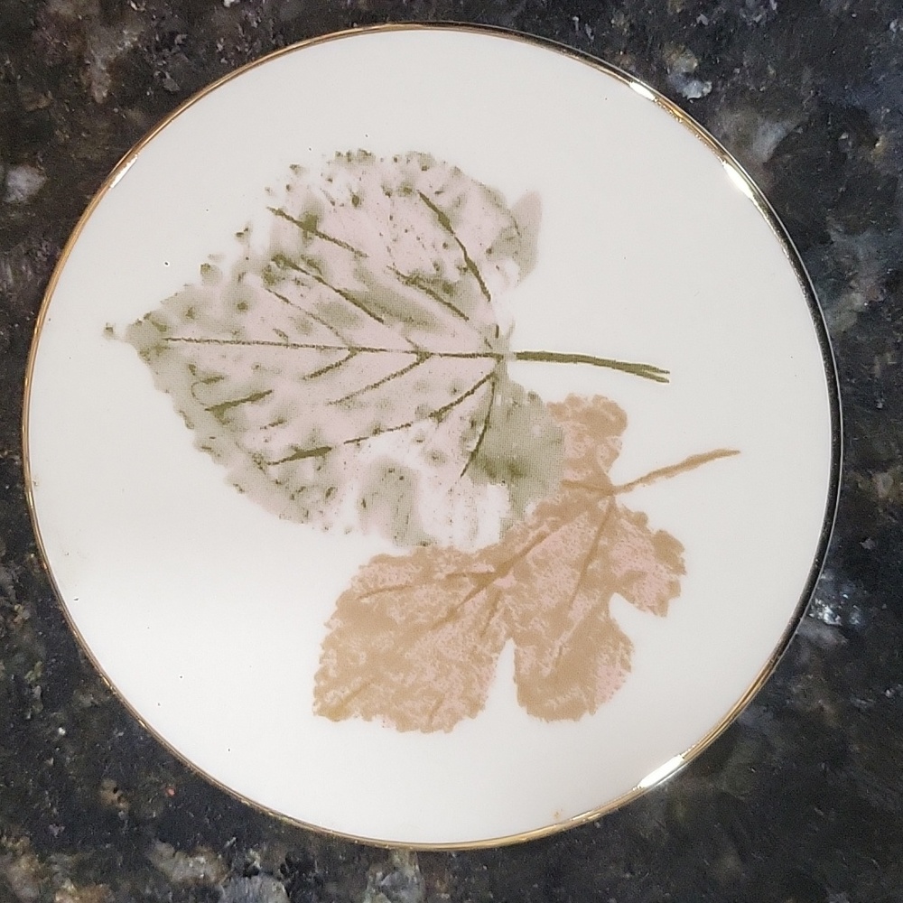 6 Coaster Set Burnished Leaves Collection by Lenox - Picture 7 of 10